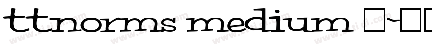 ttnorms medium 中字体转换